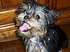 100_0288.JPG