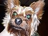 100_0337.JPG