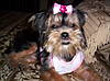 100_0401.JPG