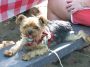 100_0405riley1.jpg