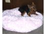 100_0536chloebed2.jpg