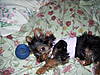 100_0616.jpg