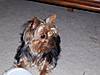 100_0936.jpg