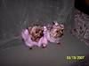 100_1047.JPG