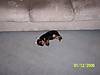 100_1102.JPG