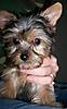 100_2546.JPG
