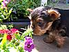 100_2623.JPG