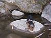 100_3917.JPG
