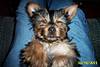 1221Frankie_6.jpg