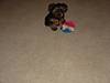 1269Christmas_2004_003.jpg