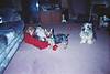 1328017_15A_514_x_343_.jpg
