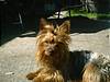 1328IMAG0011_600_x_450_.jpg