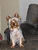 1715IMG_0077.JPG