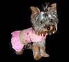 1730web-chlooe-in-pinktank.jpg