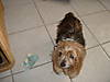 2003_0101Image0004.JPG