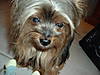 2003_0101Image0009.JPG
