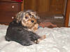2006-02-26015.JPG