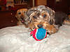 2006-02-26019.JPG