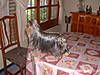 2006_0108_122341AA.JPG