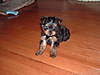 2006_1115peanut0003.JPG