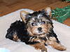 2006_1209Image0027.JPG
