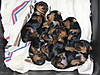 2007-10-05_001_063.JPG