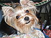 2007_07140003.JPG