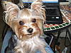 2007_07140004.JPG