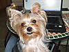 2007_07140005.JPG