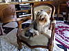20080305143.jpg