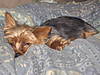 2008_100.jpg