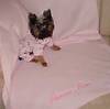 201mimiblanky2.JPG