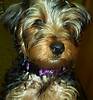 2208Charlie_5-6_1.JPG