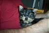2621My_Pictures0016.jpg