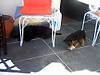 270IMG_0053-vi.jpg