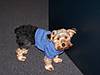 2_Shadow_Dec2006.jpg