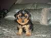 3000May_25-05_Maxwell.jpg