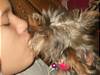 313Gucci_kissing_Charlie_jan_29_05.jpg