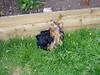 3153matthew_mcilroy_born_29_04_05_6_10pm_053.jpg