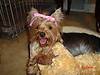 3260zoey_025.jpg