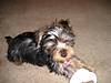 3277Zoey_032.jpg
