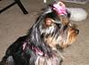 3277Zoey_045.jpg