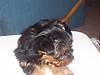 3474Bert_001.jpg