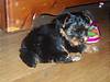 3474Bert_009.jpg