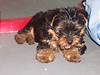 3474Bert_013.jpg