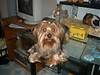 439Picture_099.jpg