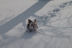 811DSC00650-run_in_snow_2.JPG