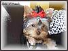 824web14Sophia_2005_040.jpg