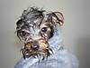 After_Bath_3_months.JPG