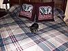Anna_s_pics_010.JPG